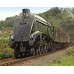Severn Valley & Llangollen Railways DVD