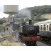 Dart Valley Railways DVD
